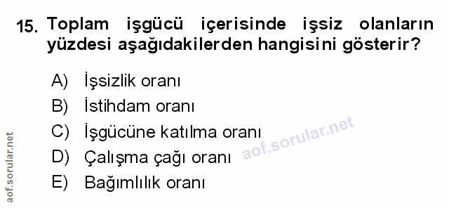 Soru 15
