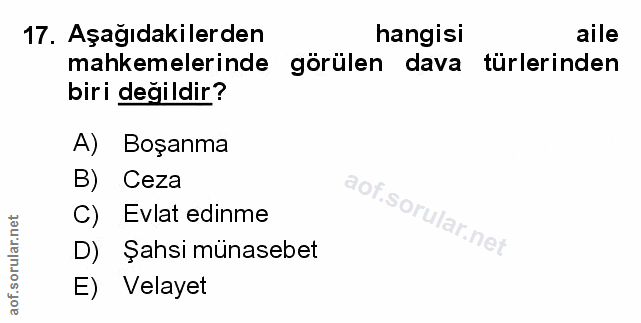 Soru 17