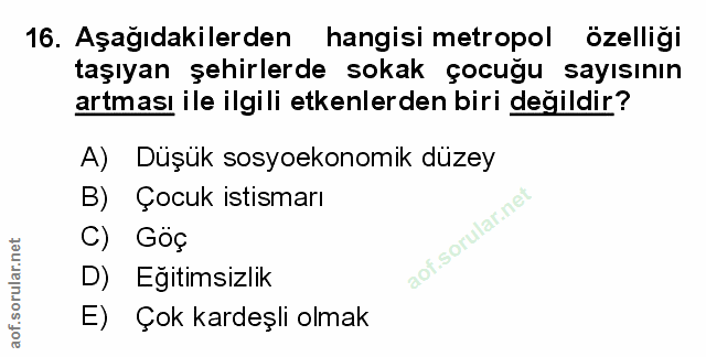 Soru 16