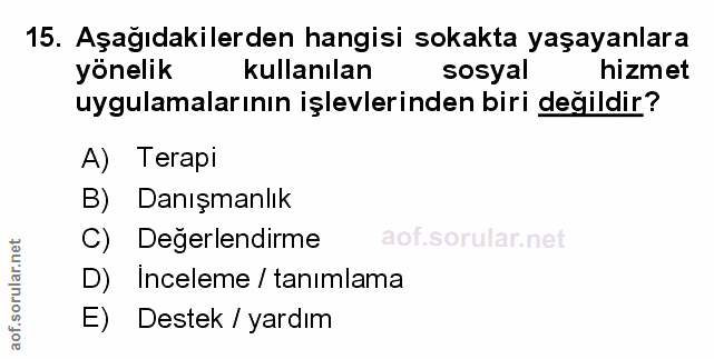 Soru 15