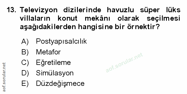 Soru 13