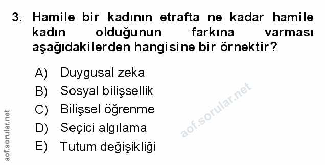 Soru 3