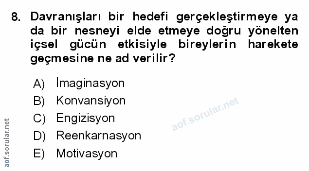Soru 8