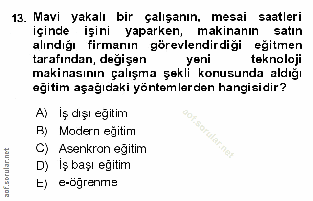 Soru 13