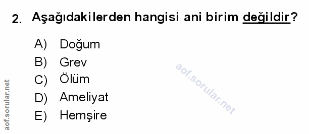 Soru 2