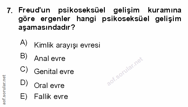 Soru 7