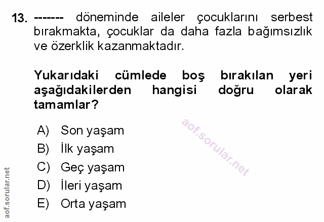 Soru 13