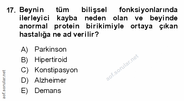 Soru 17