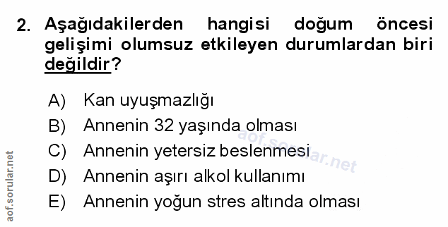 Soru 2