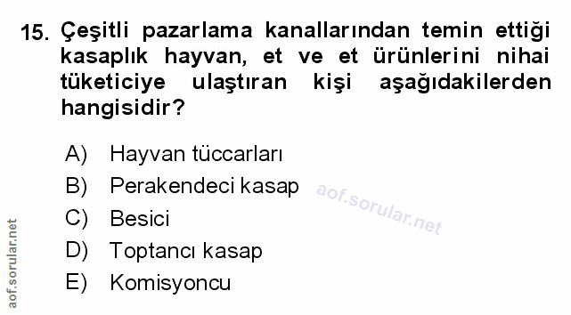 Soru 15