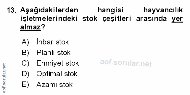 Soru 13