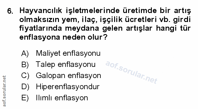 Soru 6