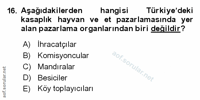 Soru 16