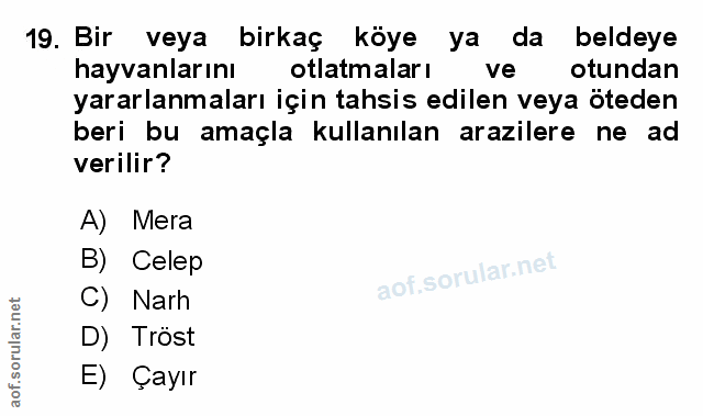 Soru 19