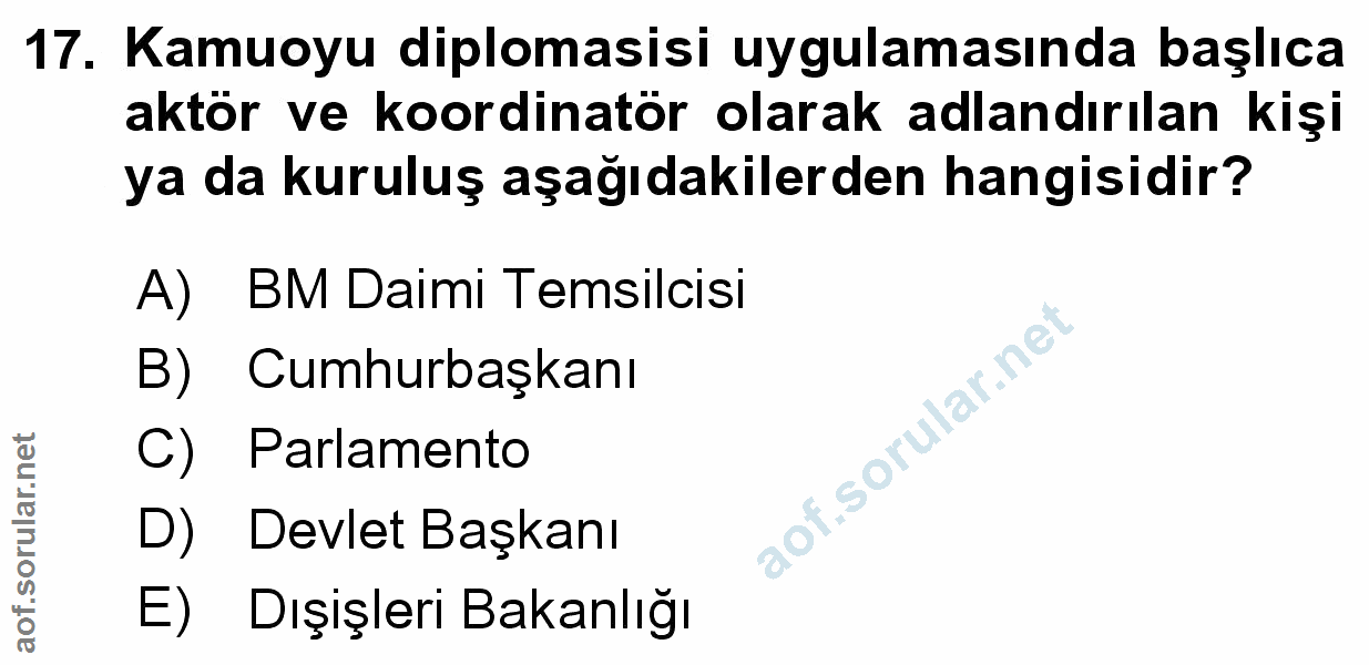 Soru 17