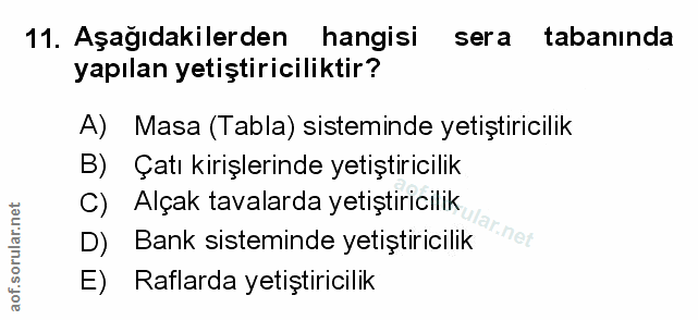 Soru 11
