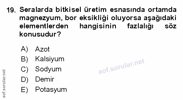 Soru 19