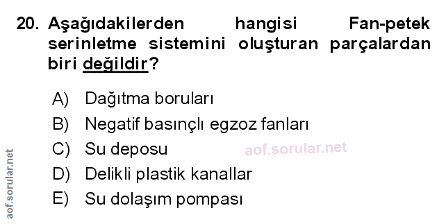 Soru 20