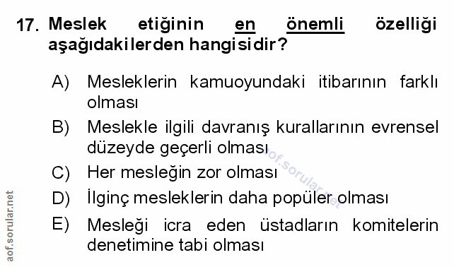 Soru 17