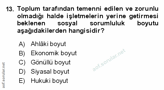 Soru 13