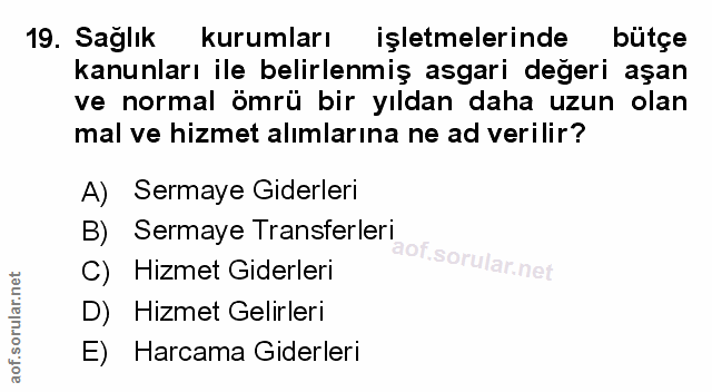 Soru 19