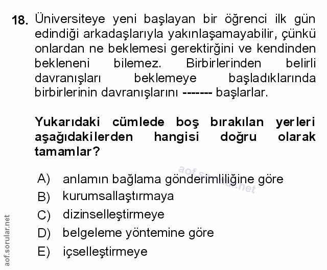 Soru 18