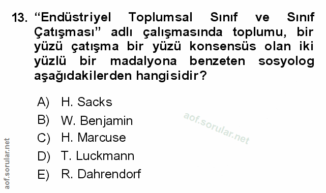 Soru 13