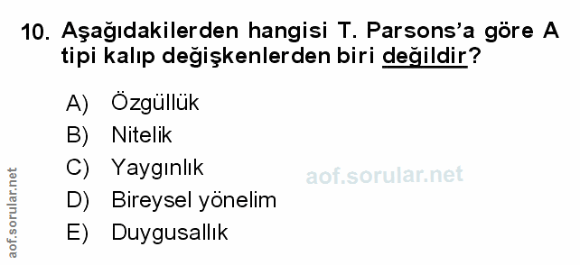 Soru 10