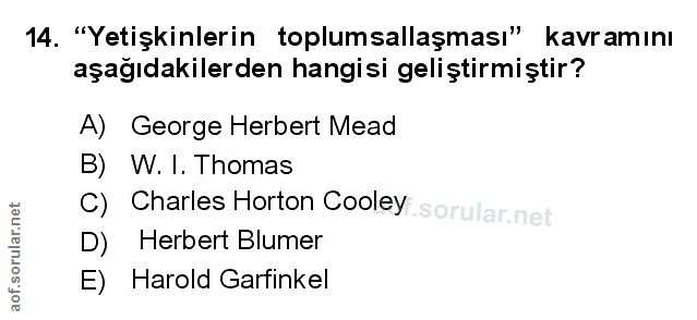 Soru 14