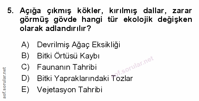 Soru 5