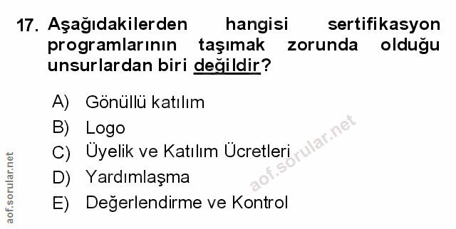Soru 17