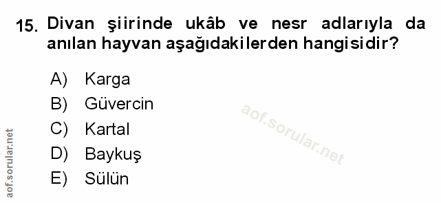 Soru 15