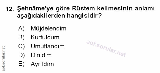 Soru 12