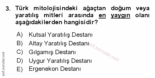 Soru 3