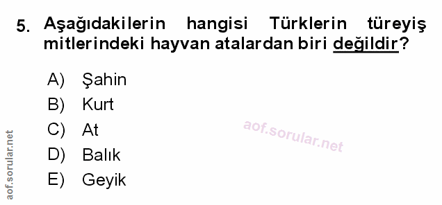 Soru 5