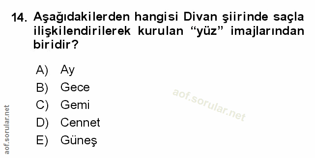 Soru 14