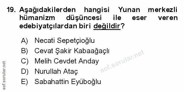 Soru 19