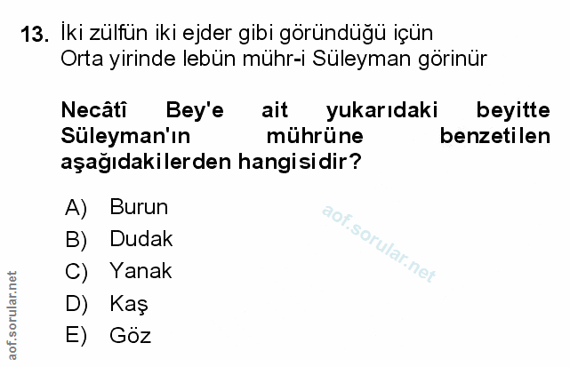 Soru 13