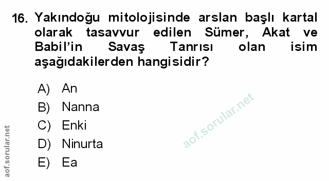 Soru 16