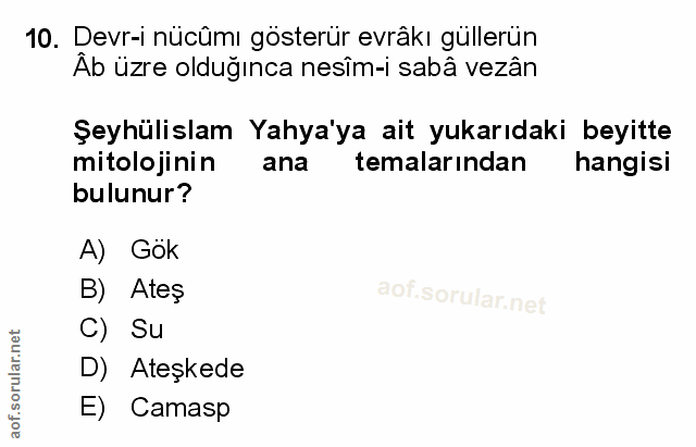 Soru 10
