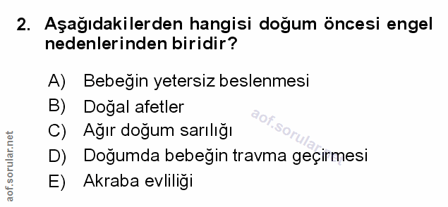 Soru 2