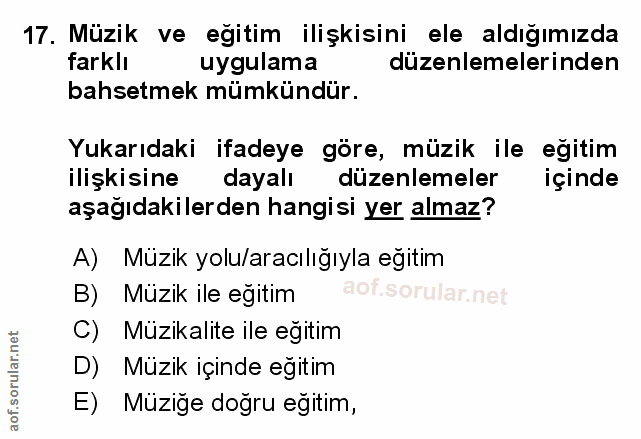Soru 17