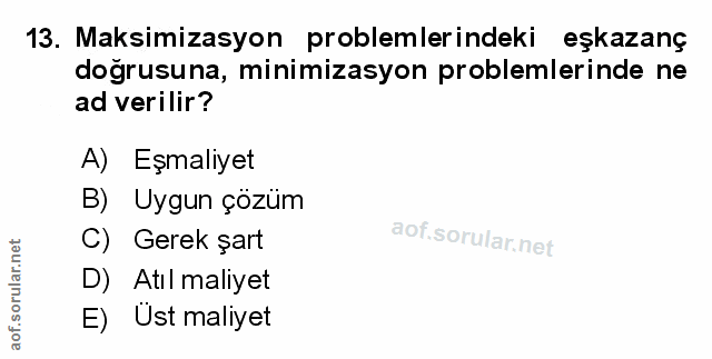 Soru 13