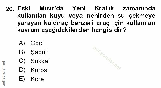 Soru 20