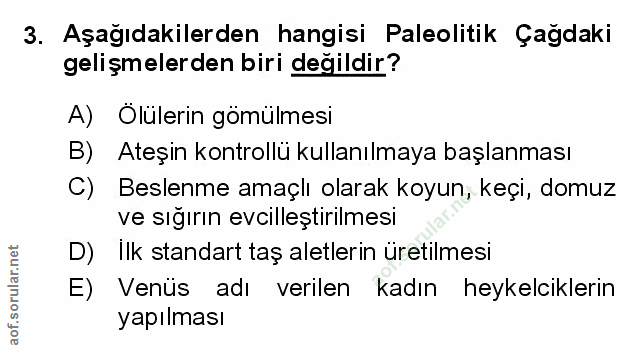 Soru 3