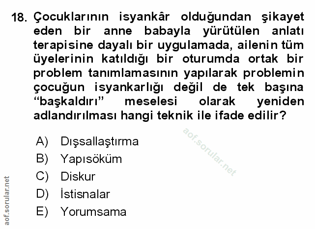 Soru 18