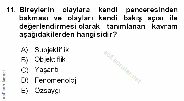 Soru 11