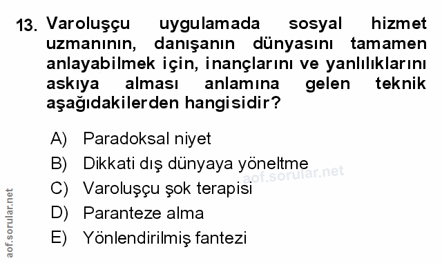 Soru 13