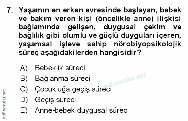 Soru 7