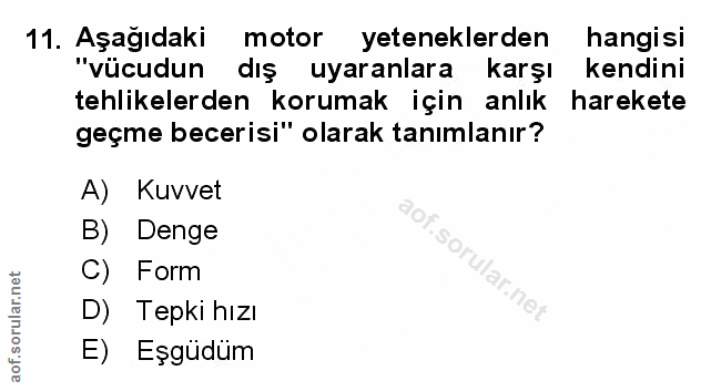 Soru 11